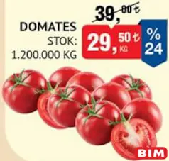 DOMATES KG fiyat ve kampanya bilgisi